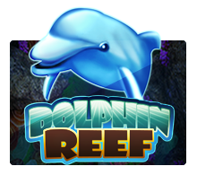 รีวิวเกมสล็อต Dolphin Reef