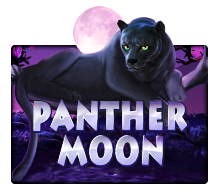 panthermoon