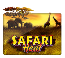 safariheat